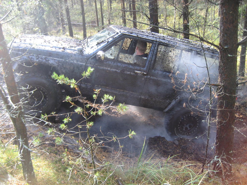 kallio burnis (etuveto kateissa)